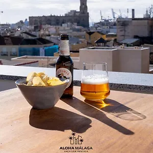Luxury Duplex With Pool And Padel Court In Town Malaga